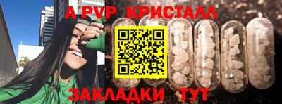 гидра Вышний Волочёк